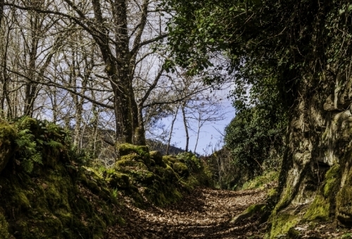 Pazos de Arenteiro - Soutelo de Montes